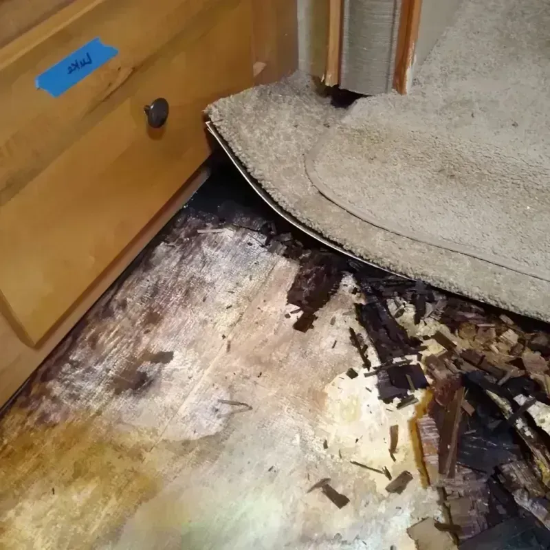 Wood Floor Water Damage in Covington, TN